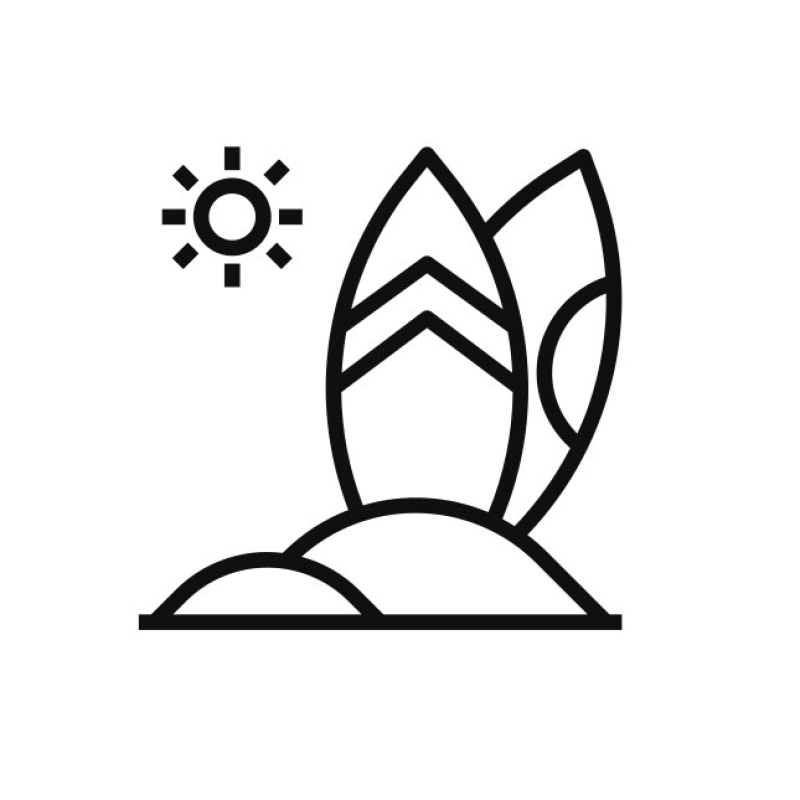 SurfHouse Gran Canaria